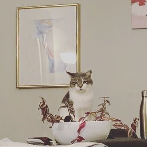 Meet your Posher, Valeria